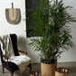 Townes Baskets - Set of 3 By Accent Decor | Bins, Baskets & Buckets | Modishstore - 4
