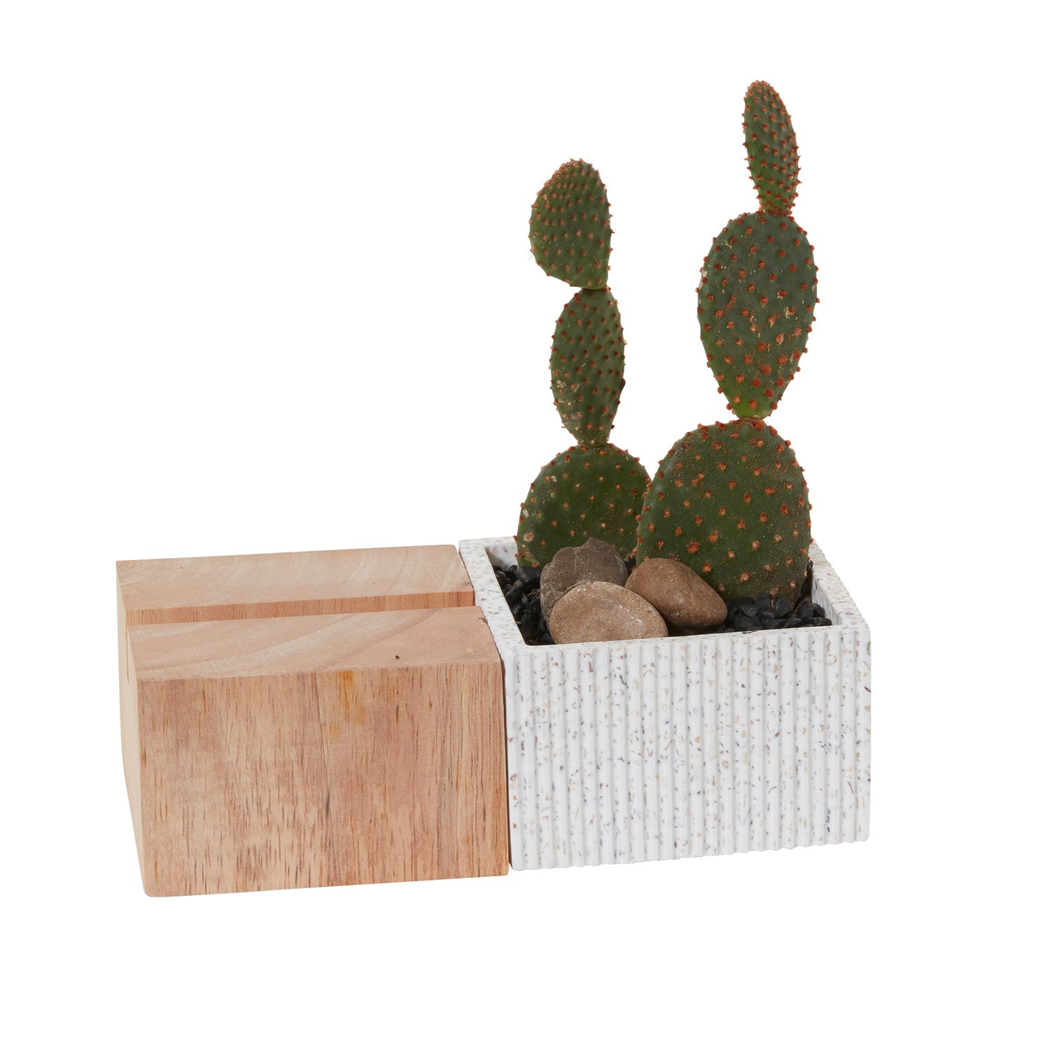 Aravalli Phone Stand Planter Set of 2 By Accent Decor | Planters, Troughs & Cachepots | Modishstore - 2