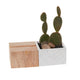 Aravalli Phone Stand Planter Set of 2 By Accent Decor | Planters, Troughs & Cachepots | Modishstore - 2 - Aravalli Phone Stand Planter Set of 2 By Accent Decor