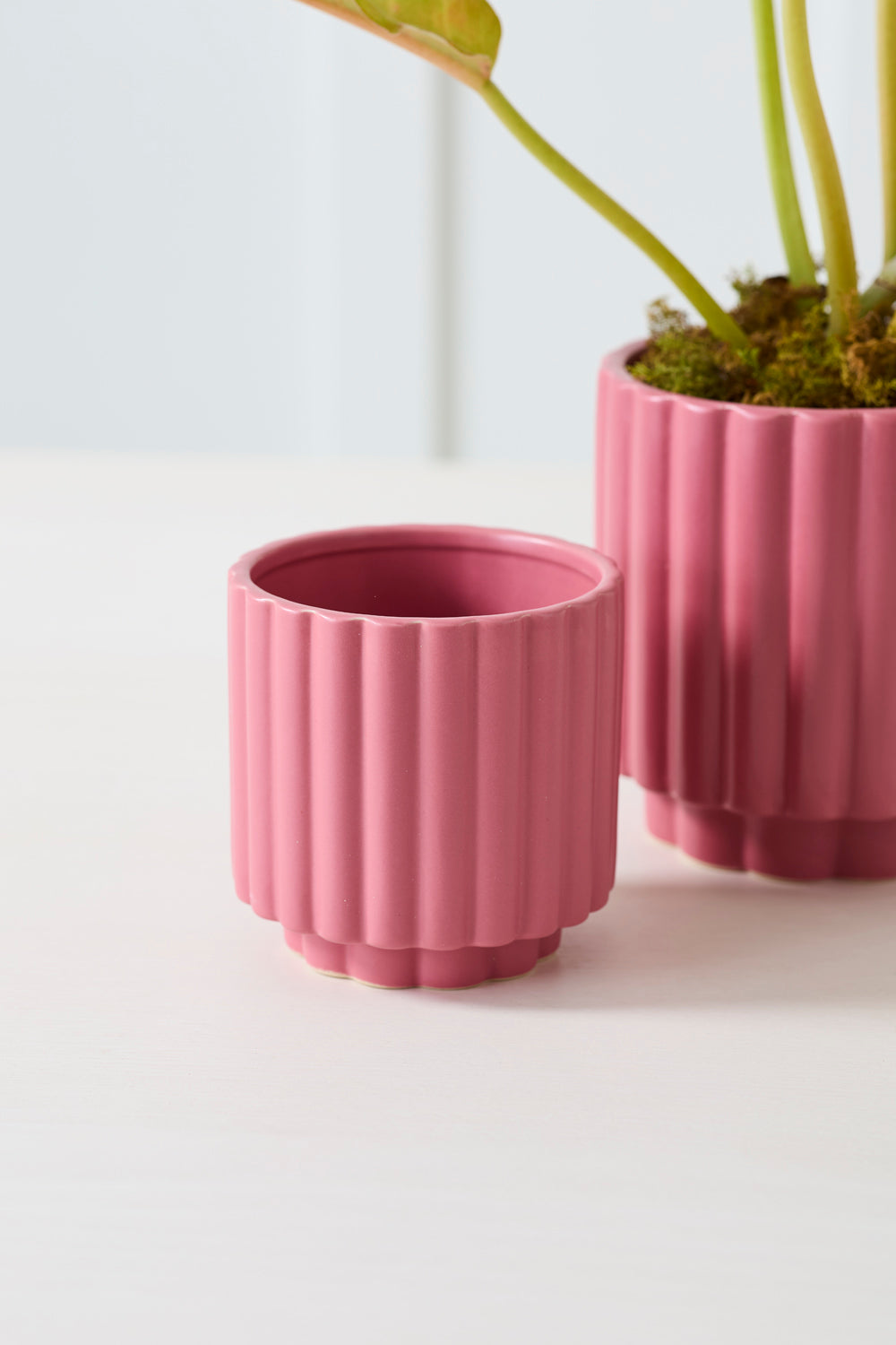 Carmen Pot Set of 8 By Accent Decor | Stands | Modishstore - 30