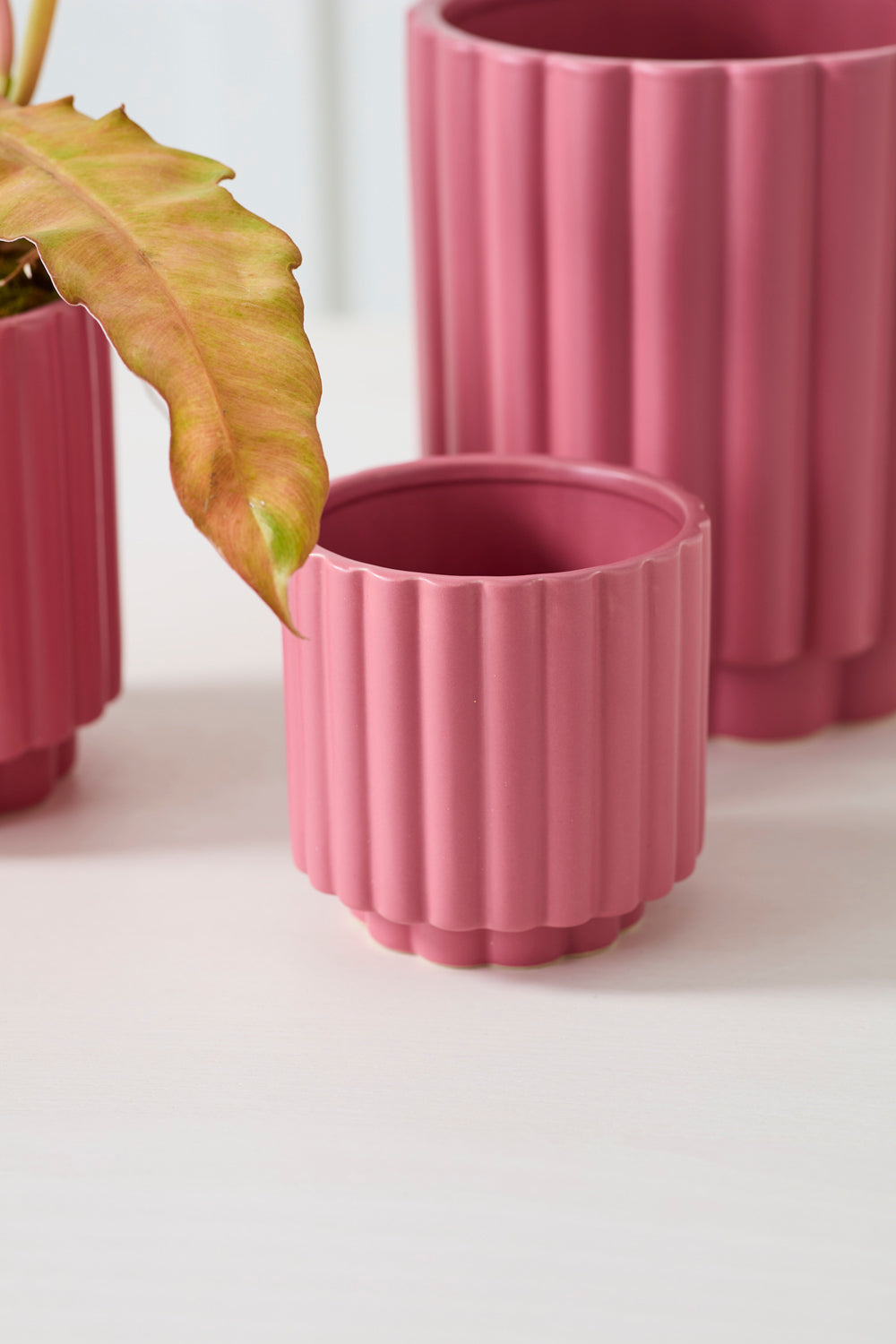 Carmen Pot Set of 8 By Accent Decor | Stands | Modishstore - 31