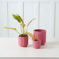 Carmen Pot Set of 8 By Accent Decor | Stands | Modishstore - 34