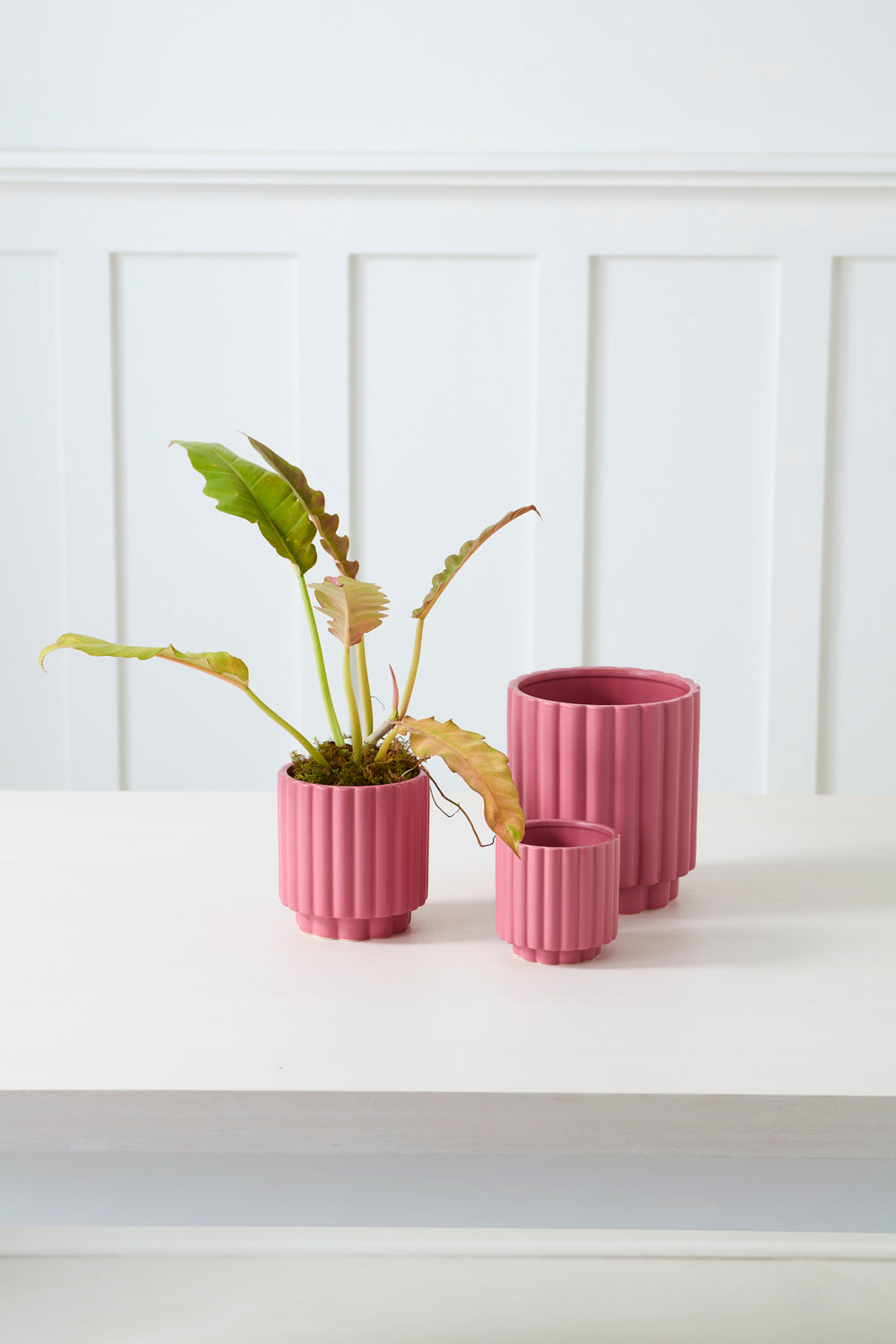 Carmen Pot Set of 8 By Accent Decor | Stands | Modishstore - 34