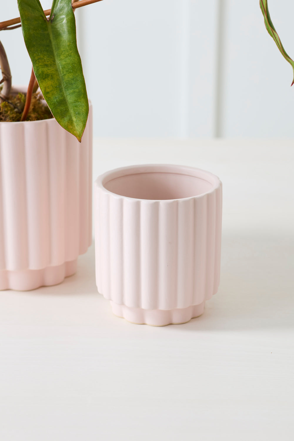 Carmen Pot Set of 8 By Accent Decor | Stands | Modishstore - 25