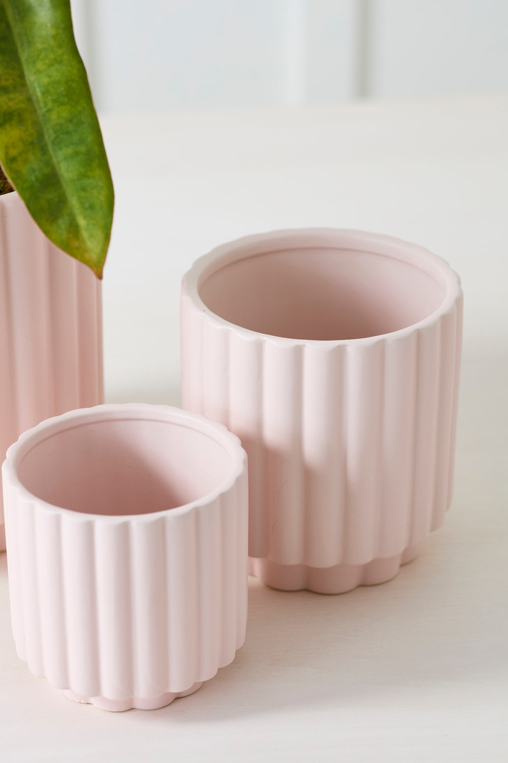 Carmen Pot Set of 8 By Accent Decor | Stands | Modishstore - 26