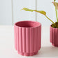 Carmen Pot Set of 8 By Accent Decor | Stands | Modishstore - 36