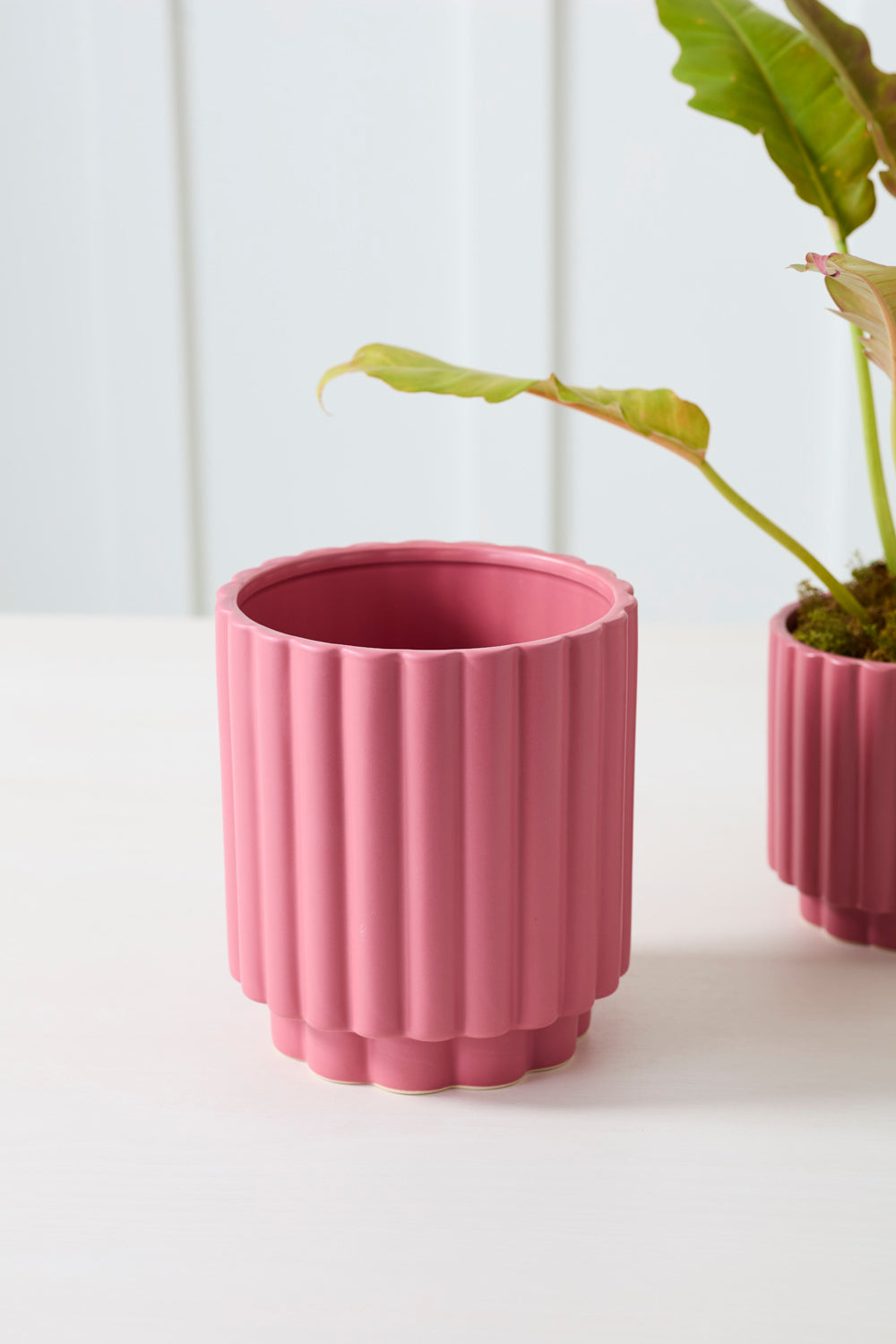 Carmen Pot Set of 8 By Accent Decor | Stands | Modishstore - 36