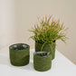 Inkberry Basket - Set of 6 By Accent Decor | Planters, Troughs & Cachepots | Modishstore - 4