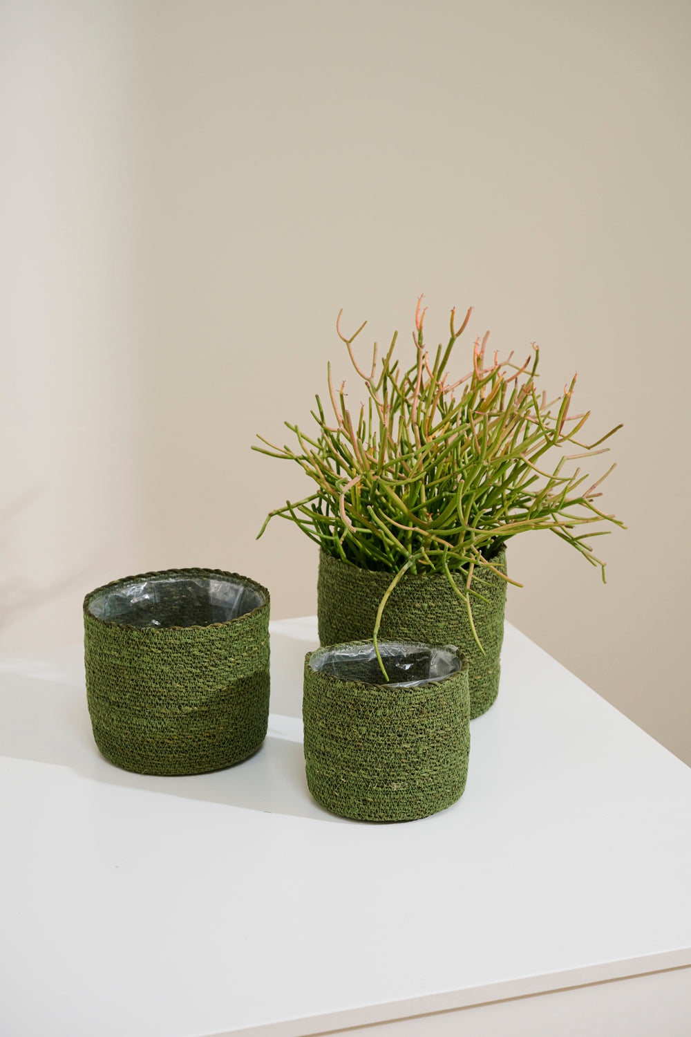 Inkberry Basket - Set of 6 By Accent Decor | Planters, Troughs & Cachepots | Modishstore - 4