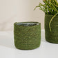 Inkberry Basket - Set of 6 By Accent Decor | Planters, Troughs & Cachepots | Modishstore - 5