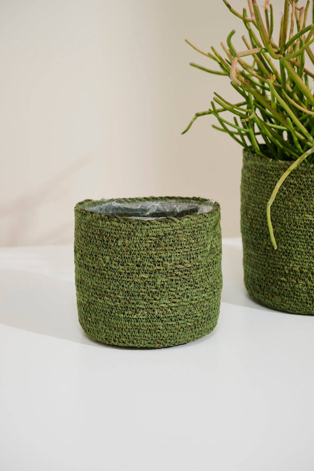 Inkberry Basket - Set of 6 By Accent Decor | Planters, Troughs & Cachepots | Modishstore - 5