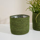 Inkberry Basket - Set of 6 By Accent Decor | Planters, Troughs & Cachepots | Modishstore - 6