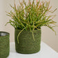 Inkberry Basket - Set of 6 By Accent Decor | Planters, Troughs & Cachepots | Modishstore - 7