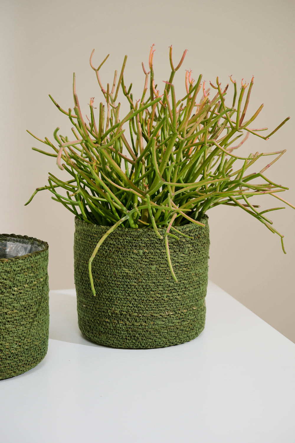 Inkberry Basket - Set of 6 By Accent Decor | Planters, Troughs & Cachepots | Modishstore - 7