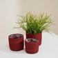 Inkberry Basket - Set of 6 By Accent Decor | Planters, Troughs & Cachepots | Modishstore - 10