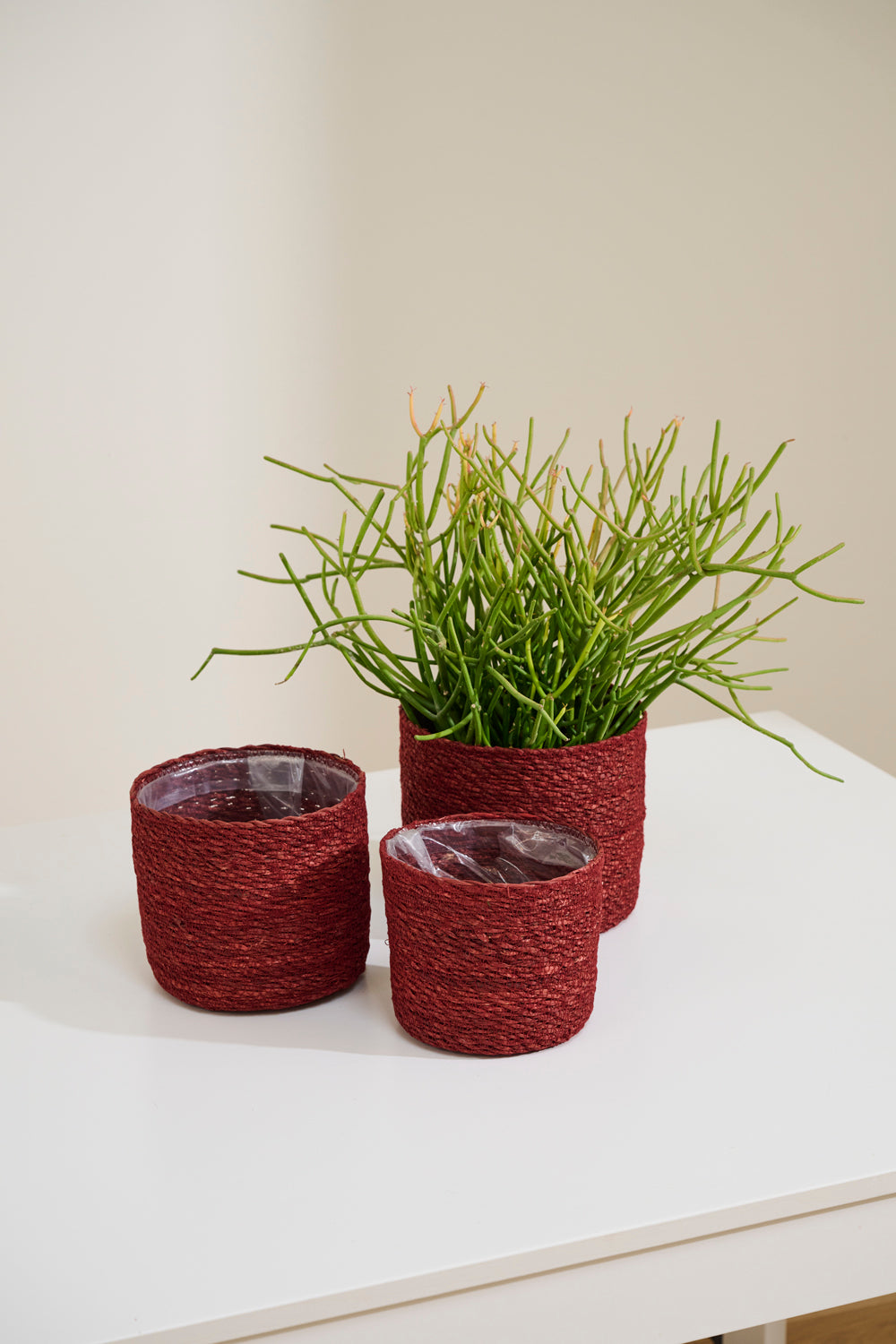 Inkberry Basket - Set of 6 By Accent Decor | Planters, Troughs & Cachepots | Modishstore - 10