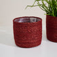 Inkberry Basket - Set of 6 By Accent Decor | Planters, Troughs & Cachepots | Modishstore - 12