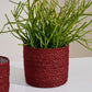 Inkberry Basket - Set of 6 By Accent Decor | Planters, Troughs & Cachepots | Modishstore - 13