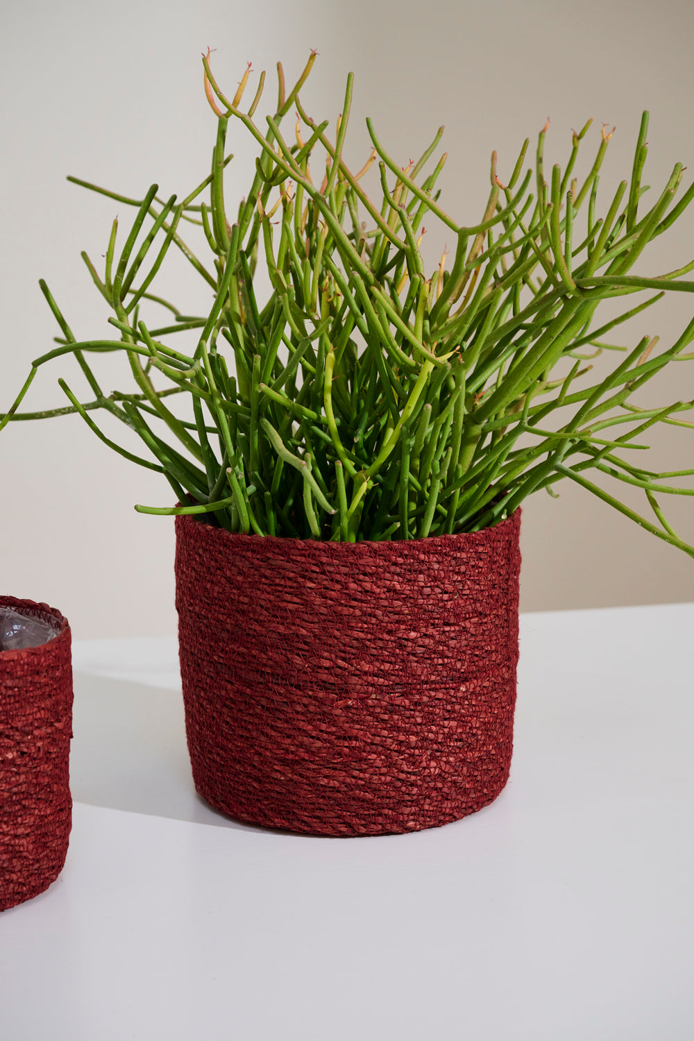 Inkberry Basket - Set of 6 By Accent Decor | Planters, Troughs & Cachepots | Modishstore - 13