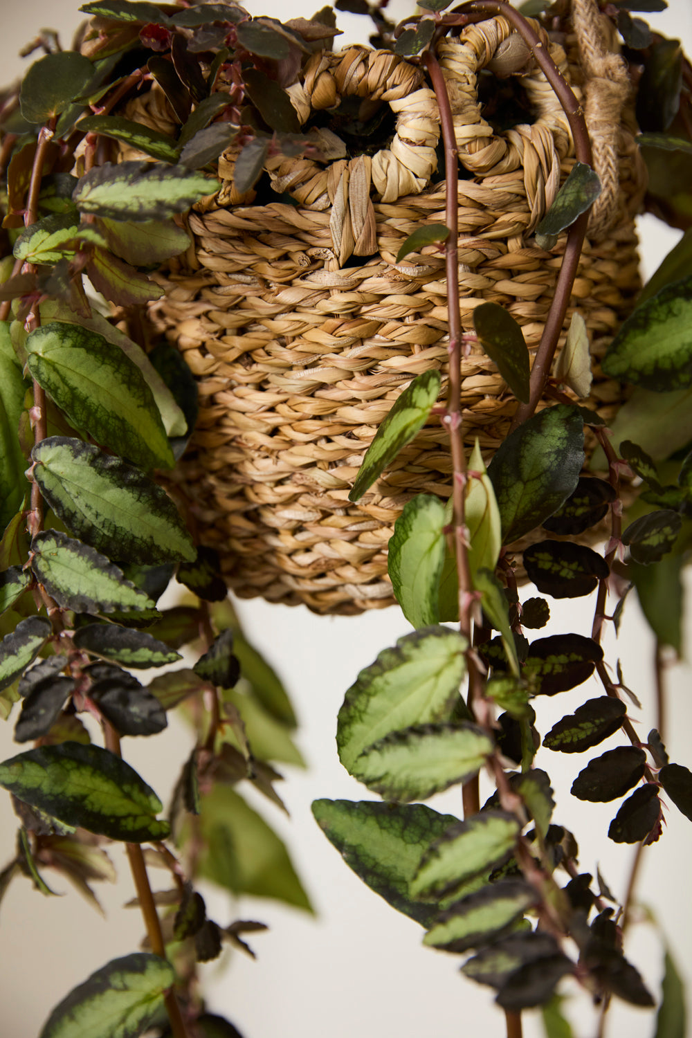 Verse Hanging Basket Set of 4 By Accent Decor | Planters, Troughs & Cachepots | Modishstore - 8
