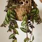 Verse Hanging Basket Set of 4 By Accent Decor | Planters, Troughs & Cachepots | Modishstore - 9