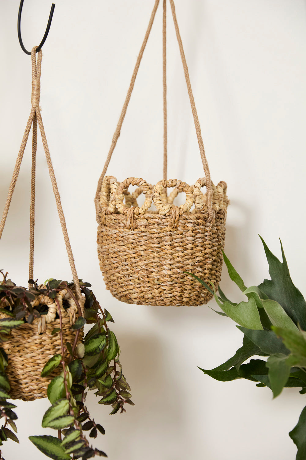 Verse Hanging Basket Set of 4 By Accent Decor | Planters, Troughs & Cachepots | Modishstore - 11