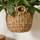 Verse Hanging Basket Set of 4 By Accent Decor | Planters, Troughs & Cachepots | Modishstore - 12