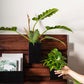 Barisan Wall Planter By Accent Decor | Planters, Troughs & Cachepots | Modishstore - 4