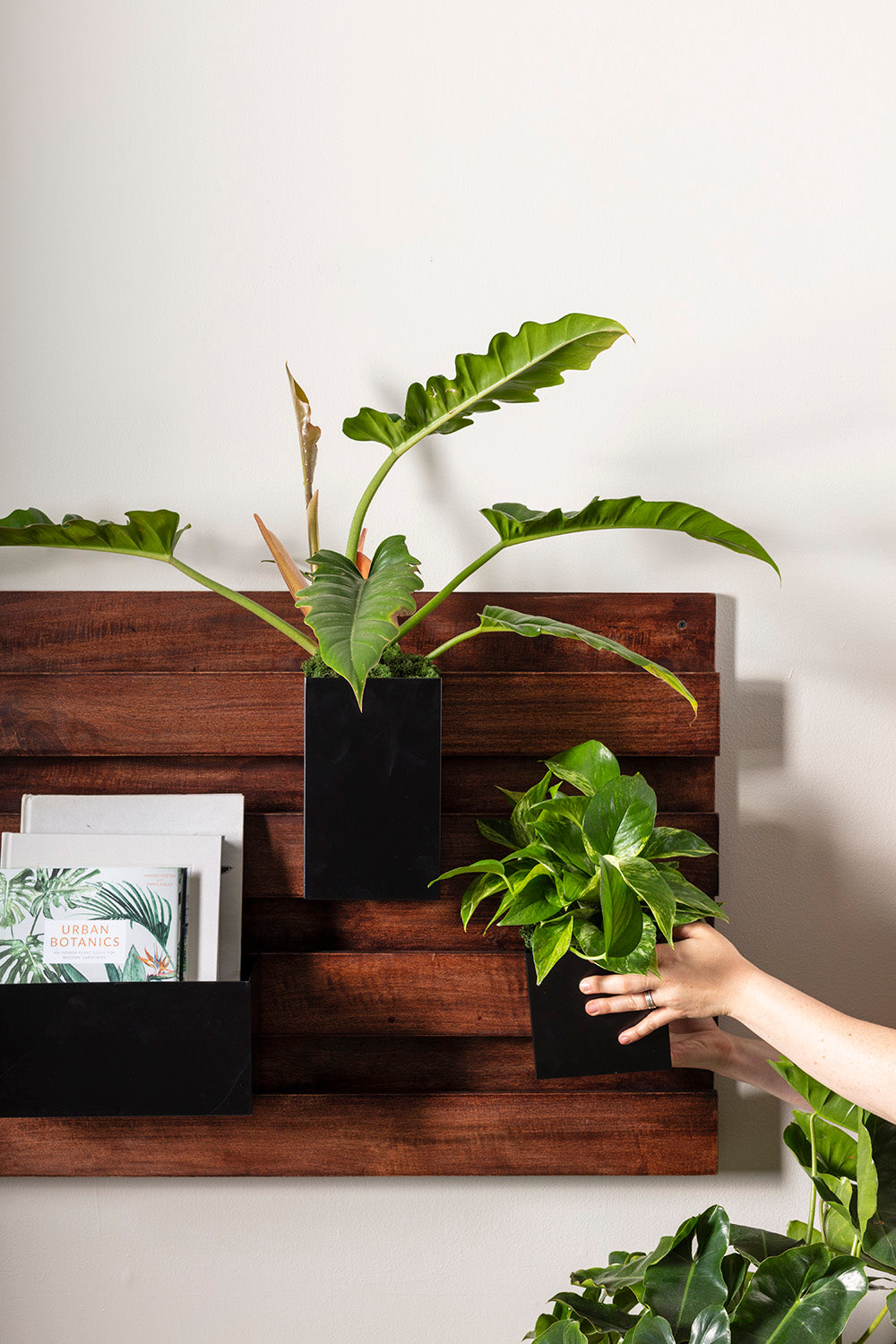 Barisan Wall Planter By Accent Decor | Planters, Troughs & Cachepots | Modishstore - 4