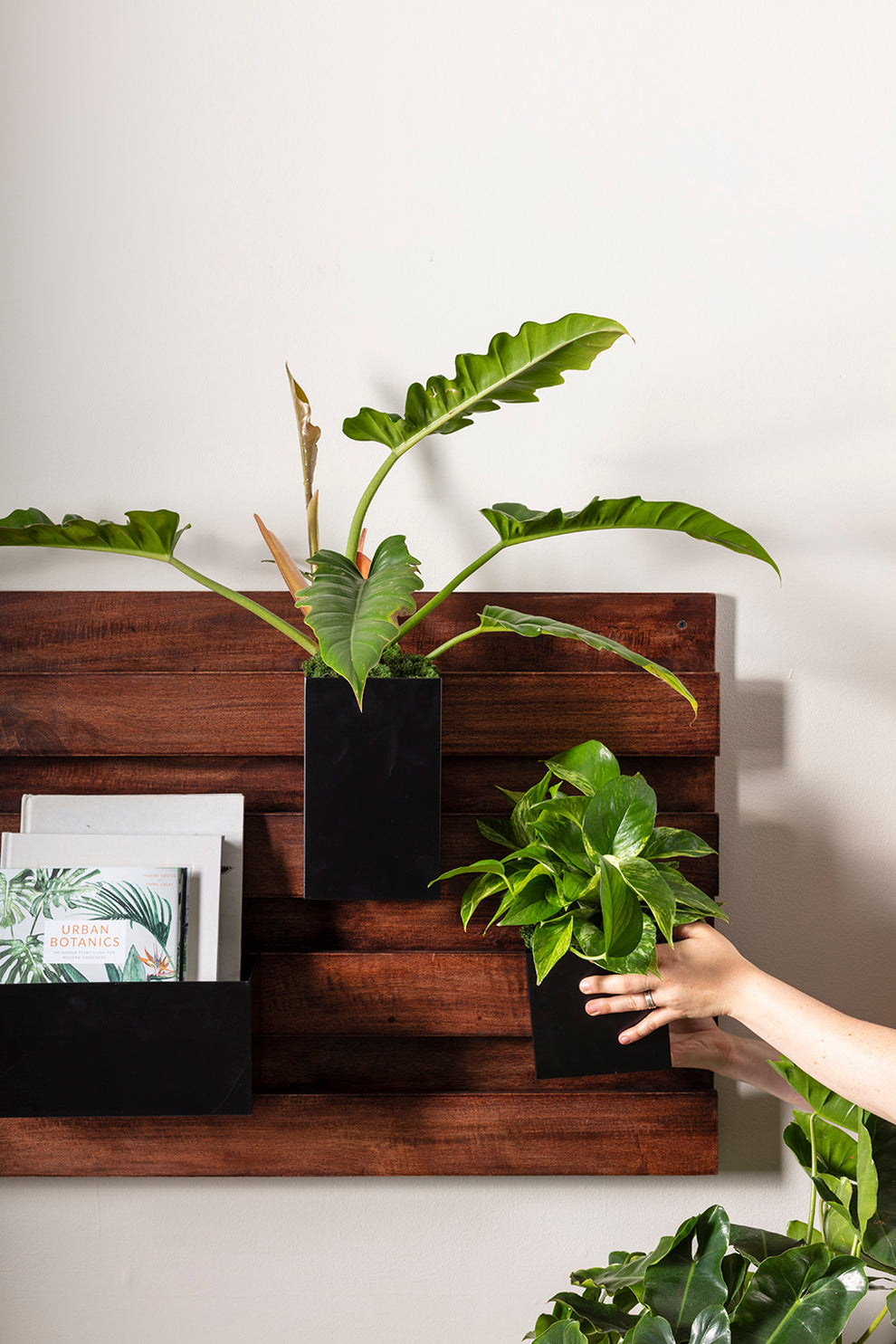 Barisan Wall Planter By Accent Decor | Planters, Troughs & Cachepots | Modishstore - 4