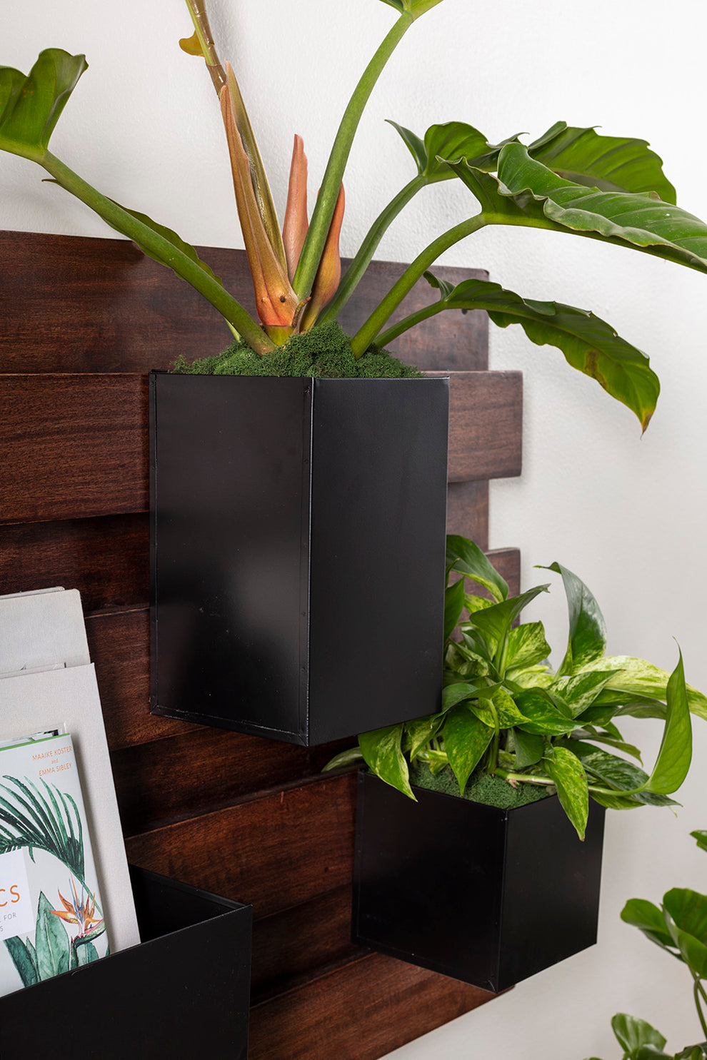 Barisan Wall Planter By Accent Decor | Planters, Troughs & Cachepots | Modishstore - 5