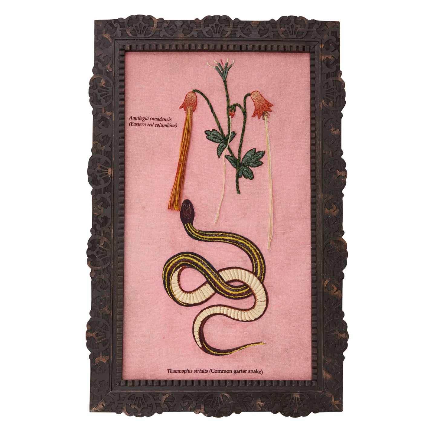 Vipera Wall Art By Accent Decor | Wall Art | Modishstore - 1