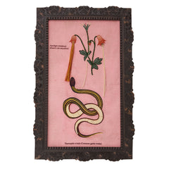Vipera Wall Art By Accent Decor