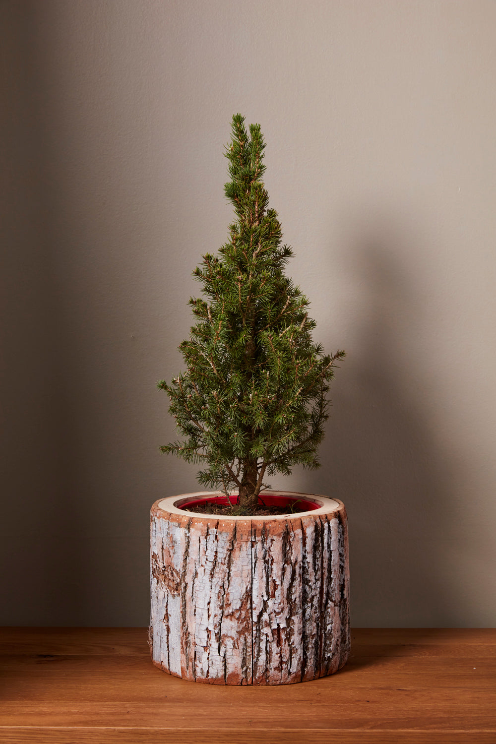 Pinefrost Pot Set of 2 By Accent Decor | Planters, Troughs & Cachepots | Modishstore - 6