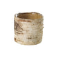 Birch Cylinder Set of 8 By Accent Decor | Vases | Modishstore - 2