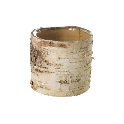 Birch Cylinder Set of 8 By Accent Decor | Vases | Modishstore - 2