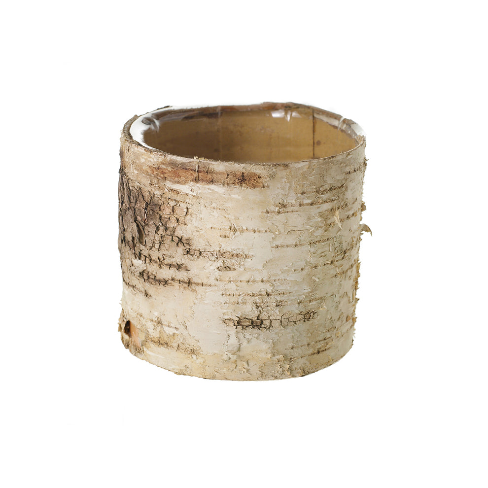 Birch Cylinder Set of 8 By Accent Decor | Vases | Modishstore - 2