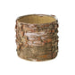 Birch Cylinder Set of 8 By Accent Decor | Vases | Modishstore - 7