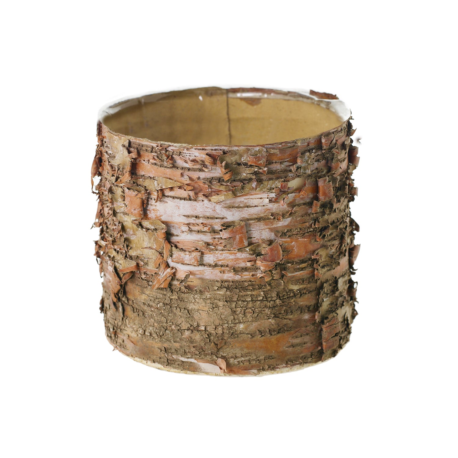 Birch Cylinder Set of 8 By Accent Decor | Vases | Modishstore - 7