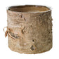 Birch Cylinder Set of 8 By Accent Decor | Vases | Modishstore - 8