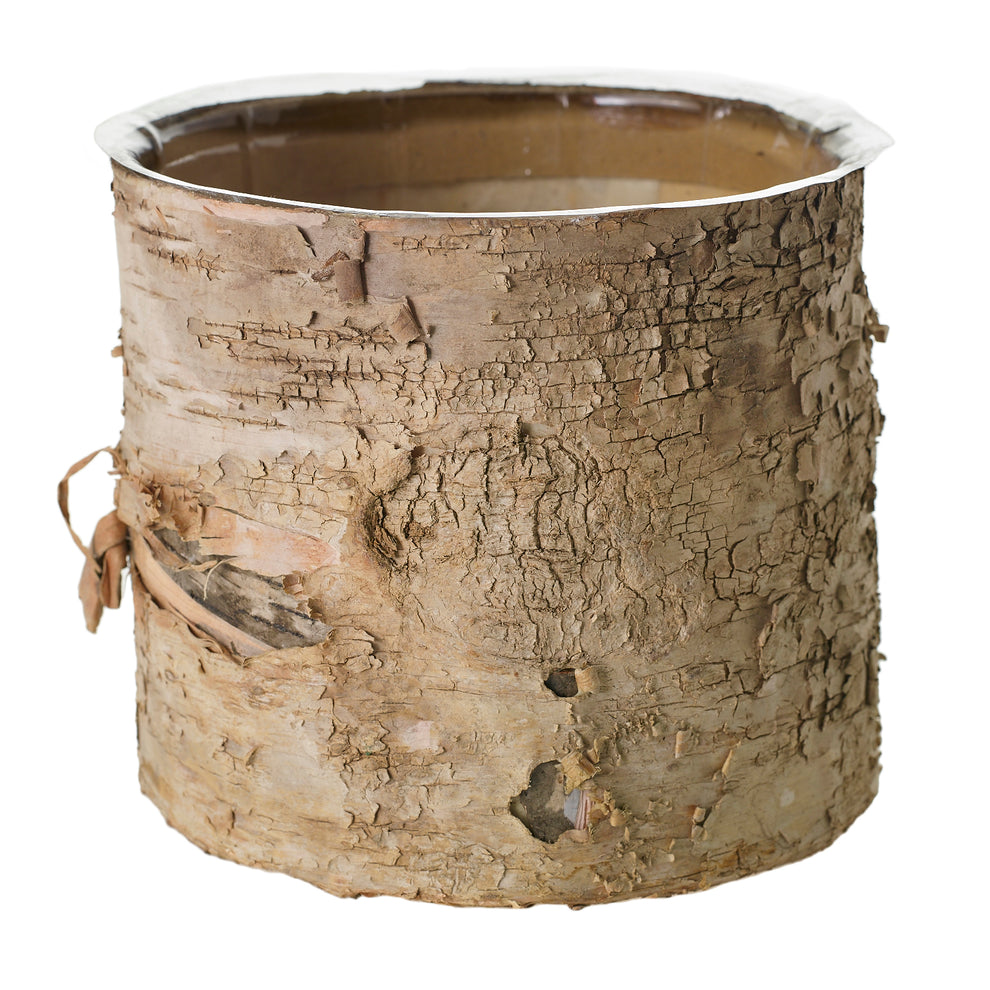 Birch Cylinder Set of 8 By Accent Decor | Vases | Modishstore - 8