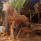 Teak Root Baby Horse By Garden Age Supply