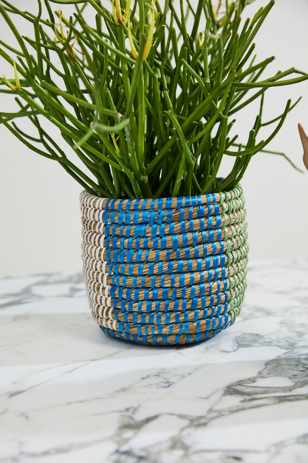 Aqua Basket - Set of 4 By Accent Decor | Stands | Modishstore - 6