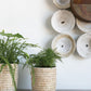 Tejida Basket Set of 4 By Accent Decor | Bins, Baskets & Buckets | Modishstore - 12
