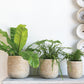Tejida Basket Set of 4 By Accent Decor | Bins, Baskets & Buckets | Modishstore - 16