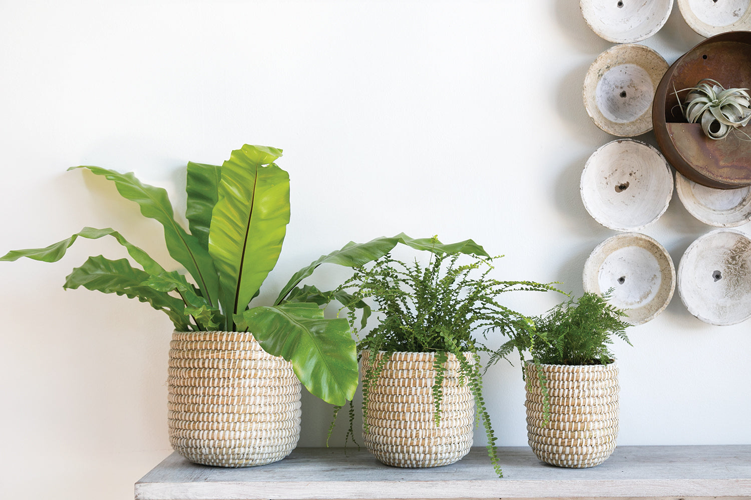 Tejida Basket Set of 4 By Accent Decor | Bins, Baskets & Buckets | Modishstore - 16