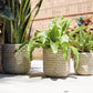 Tejida Basket Set of 4 By Accent Decor | Bins, Baskets & Buckets | Modishstore - 17