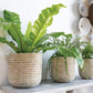 Tejida Basket Set of 4 By Accent Decor | Bins, Baskets & Buckets | Modishstore - 14