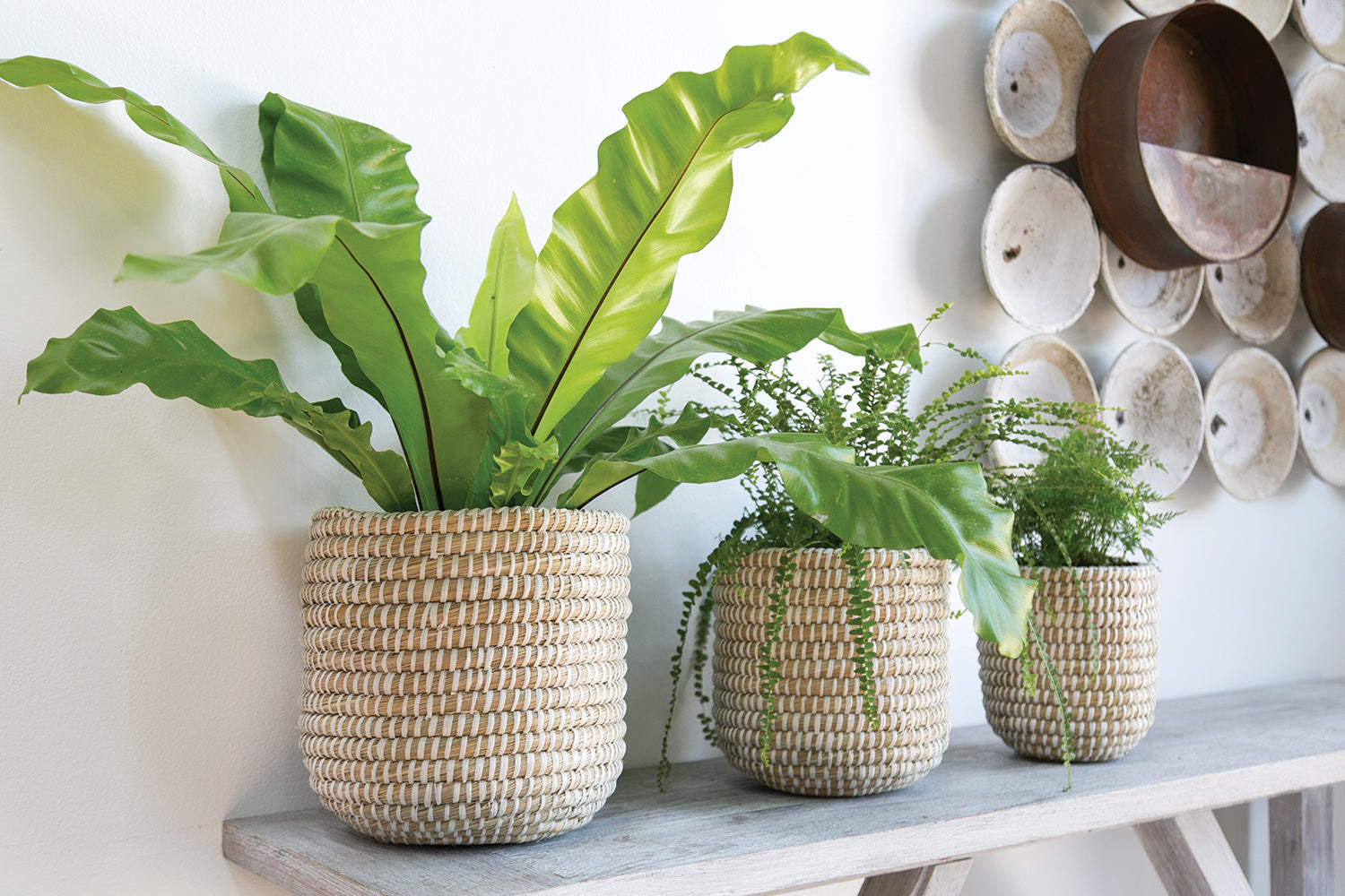 Tejida Basket Set of 4 By Accent Decor | Bins, Baskets & Buckets | Modishstore - 14