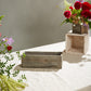 Woodland Planter Set of 4 By Accent Decor | Planters, Troughs & Cachepots | Modishstore - 7